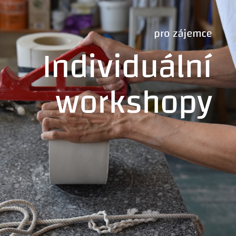 Individuální workshop